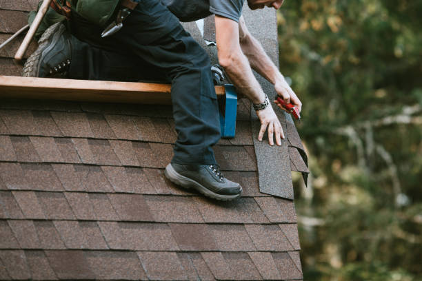 Best Roof Maintenance Services  in Cedar Falls, IA